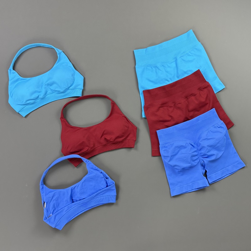 2Pcs Workout Set Women Halter  - Pilates Yoga Kit 리뷰 및 가격